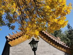 -北门涮肉·铜锅涮肉(南锣鼓巷店)