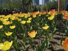 -长春公园(普阳街道)