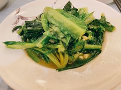 蒜蓉油麦菜-博望坡酒楼(漕溪路店)