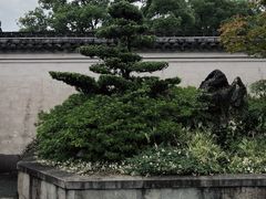 -天一阁博物院