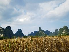 -明仕田园