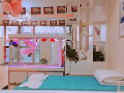 -痘庄科学祛痘国际连锁机构