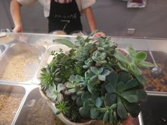 -乐山冰粉·狼牙土豆(竹溪湾店)