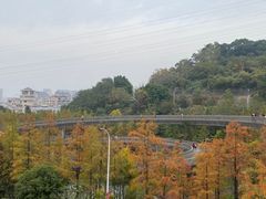 -福道