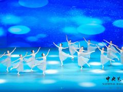 -中央芭蕾舞团·中芭艺蕾(酒仙桥明星校区)