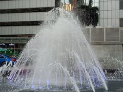 -杨记下沙盐焗鸡(罗湖店)