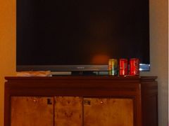 Sony电视-香港皇家太平洋酒店