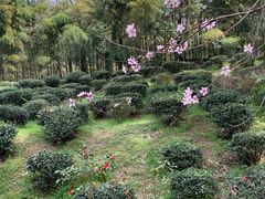 -杭州黄龙洞