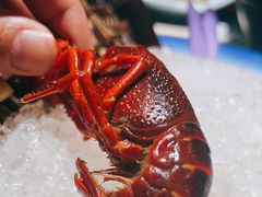 -洪福龙虾