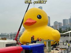-深圳人才公园