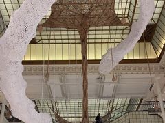 -乐蓬马歇百货公司(Rive Gauche)