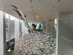 -墨尔本博物馆(Melbourne Museum)