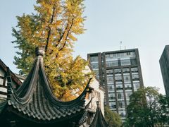 -龙潭水乡
