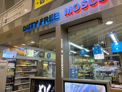 -谢列梅捷沃国际机场