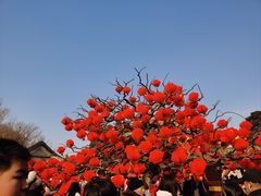 -东来顺饭庄(金泉广场店)