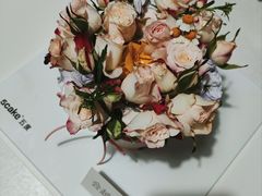 -5Cake五度无蔗糖低脂蛋糕(陶然亭店)