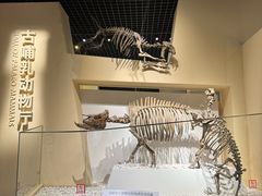 -国家自然博物馆