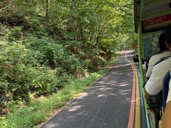 -五女峰国家森林公园