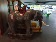 -中国湿地博物馆