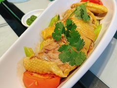海南鸡-滕记星发餐室·新加坡菜(巨鹿路店)