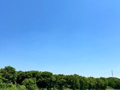 -同里国家湿地公园