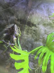 -酷嗒动物文化乐园(cutezoo西溪乐天城店)