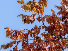 -武陵山森林公园