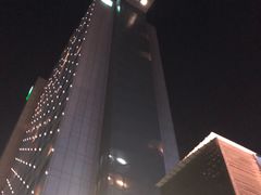 -上海浦东康桥绿地假日酒店