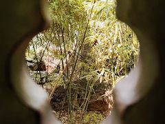 -趵突泉景区