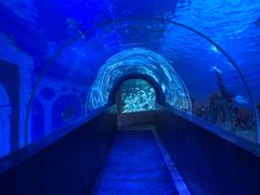 -成都浩海立方海洋公园