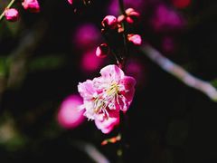 -颐和园