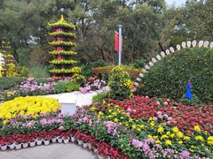 -南山植物园