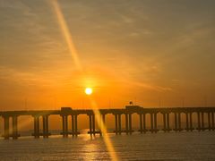 -宝安西湾红树林湿地公园