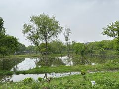 -西溪国家湿地公园