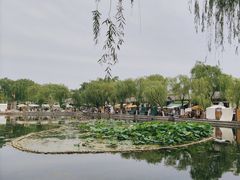 -百花洲