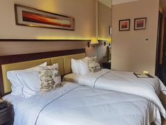 -惠州惠阳丽景国际花园酒店(市政广场店)