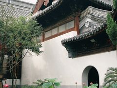 -秋霞圃