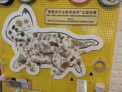 -平行世界·猫咖(首经贸店)