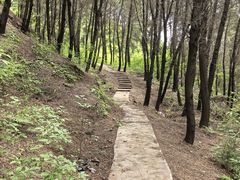 -舒家湾天主教堂