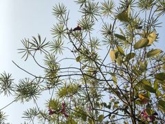 -水濂山森林公园