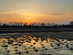 -大兴滨河森林公园