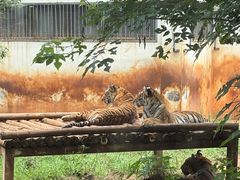 -昆明动物园