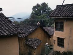 -杨家堂村