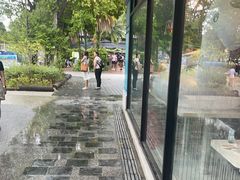 -圣淘沙天际线斜坡滑车