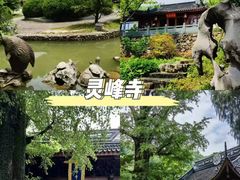 -老李家土菜馆·安吉地标美食