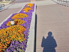 -上海科技馆(地铁站)