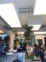 -Hair  Gallery