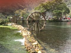 -靖西鹅泉风景区