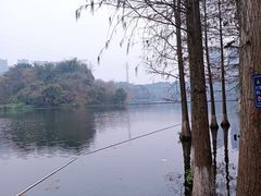 -重庆彩云湖湿地公园