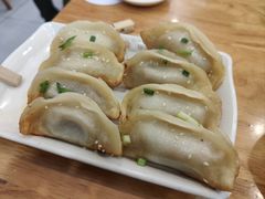 鲜肉锅贴-小姜锅贴(凤凰街店)